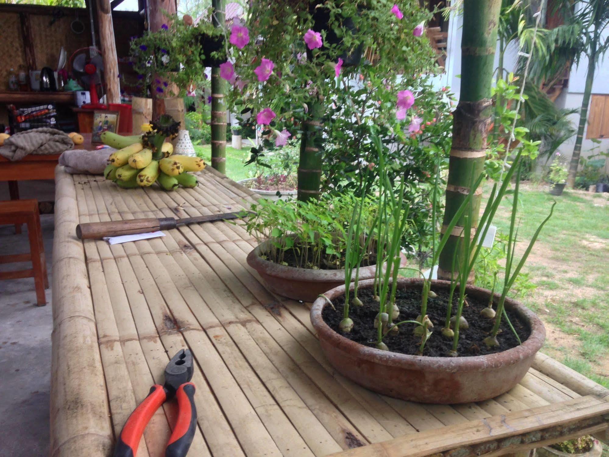 Ming Guesthouse Pai Exterior foto